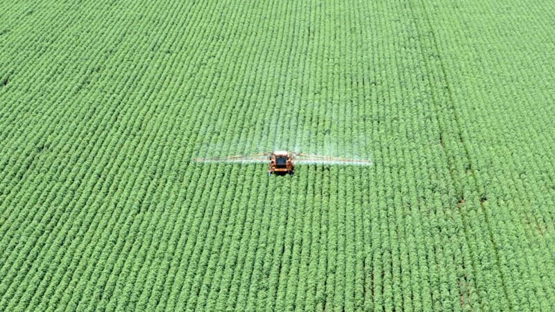 Força do agro: Tocantins e Goiás têm maior potencial de mercado do Brasil