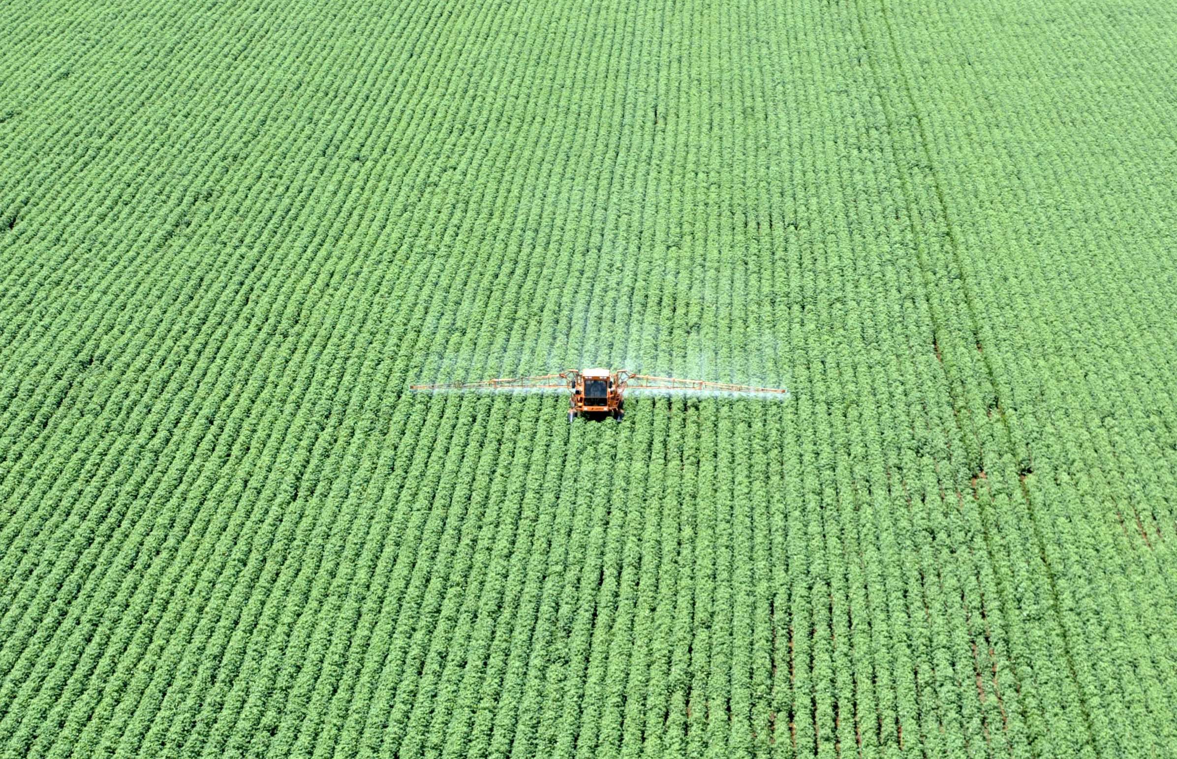 Brasil registra abertura de 300 novos mercados para o agronegócio