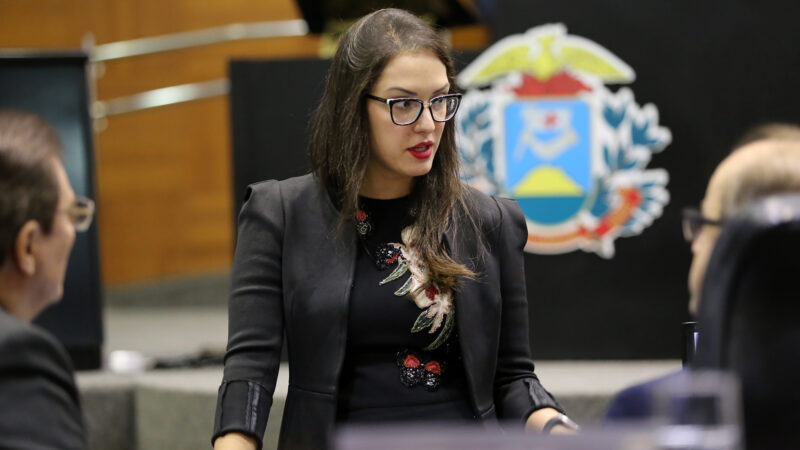 Após cobrança, deputada cita Botelho, PT e PL, e que não há espaço para nova candidatura em Cuiabá