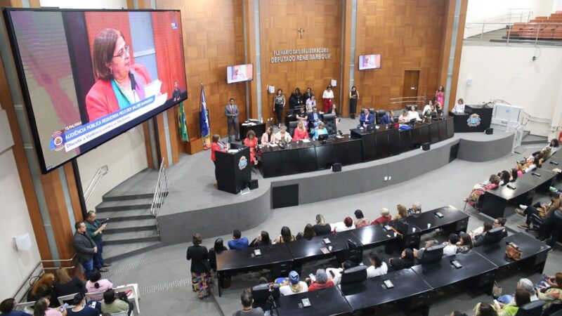 Audiência pública com ministra das Mulheres debate violência de gênero