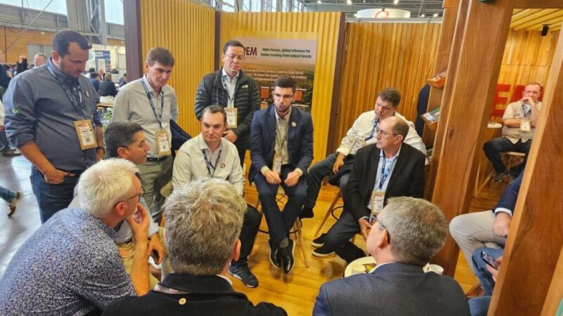 Produtos madeireiros de MT ganham destaque em feira francesa