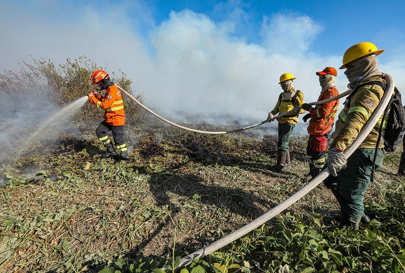 Corpo de Bombeiros extingue incêndio florestal em Primavera do Leste nesta segunda-feira (29) – Jornal Advogado – Em Mato Grosso