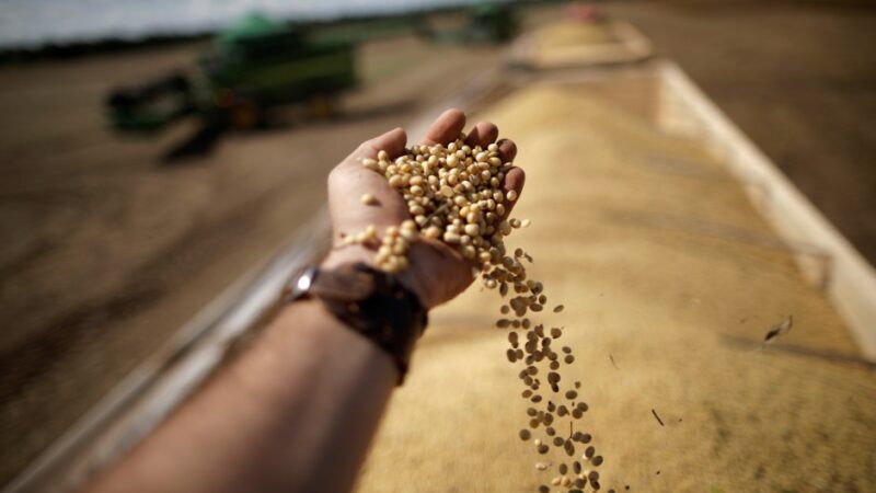 Crédito para agro sobe 1,9% em junho; em 12 meses, alta é de 20,2%