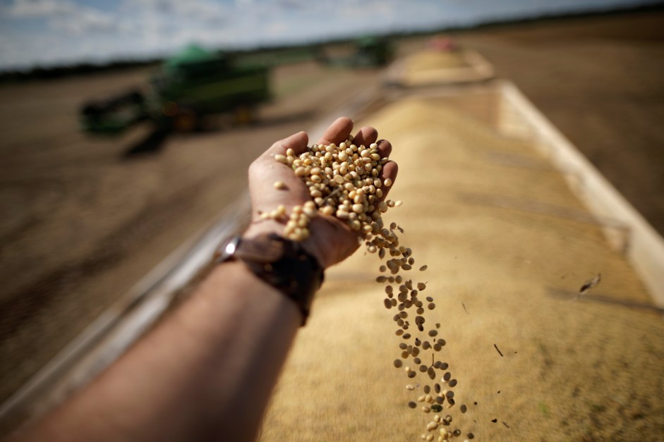Crédito para agro sobe 1,9% em junho; em 12 meses, alta é de 20,2%