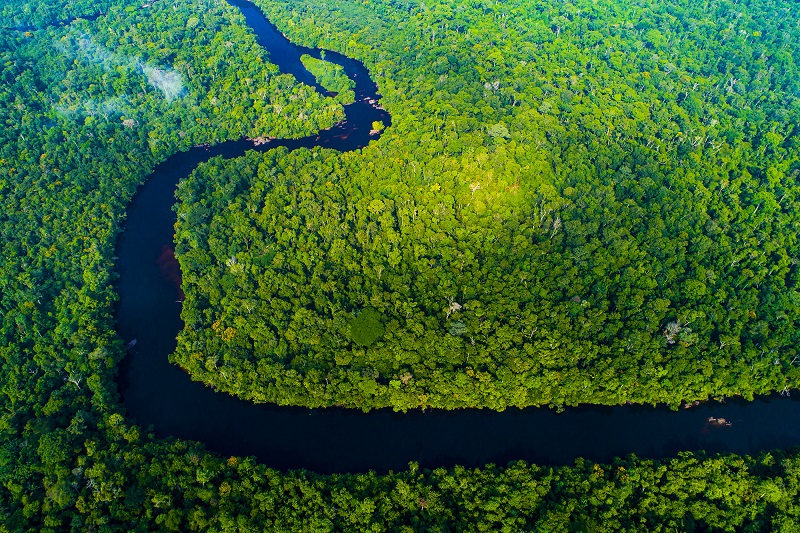 Decisão da justiça de MT em anular criação de parque pode agravar crise climática, alerta carta na Science – Jornal Advogado – Em Mato Grosso