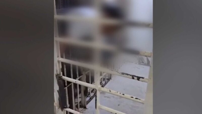 STJ fixa tese sobre progressão de regime e livramento condicional em crime hediondo com resultado morte – Jornal Advogado – Em Mato Grosso