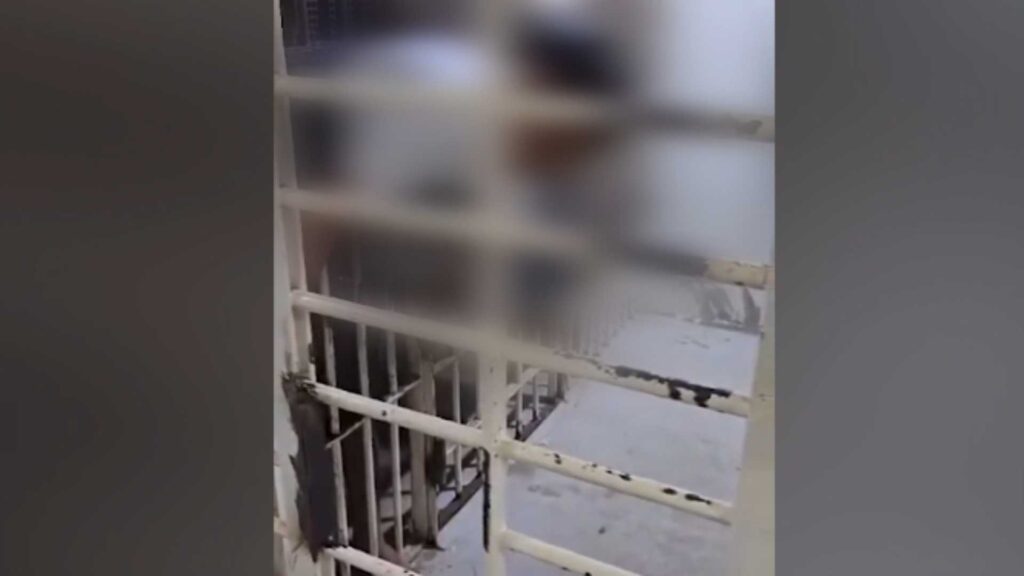 STJ fixa tese sobre progressão de regime e livramento condicional em crime hediondo com resultado morte – Jornal Advogado – Em Mato Grosso