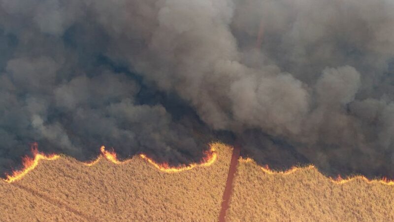 Açúcar bruto salta 3,5% em NY após incêndios em canaviais no Brasil
