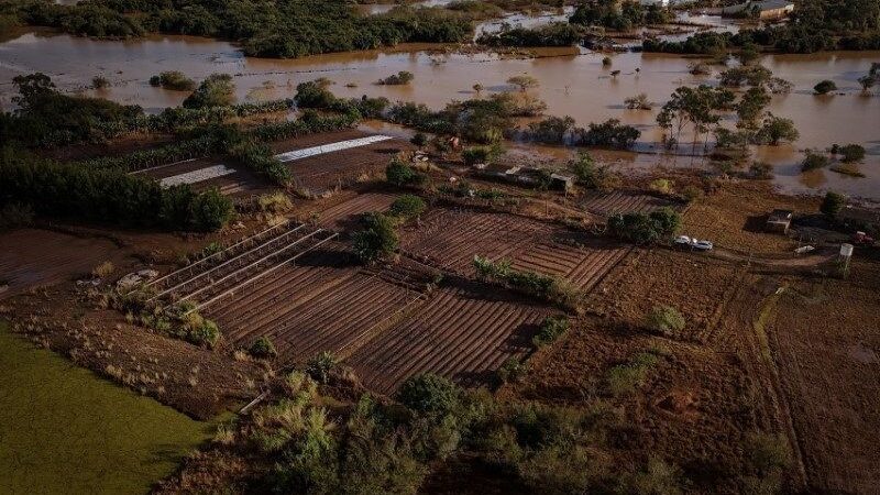 CMN autoriza prorrogação de dívidas de agricultores atingidos por inundações no RS
