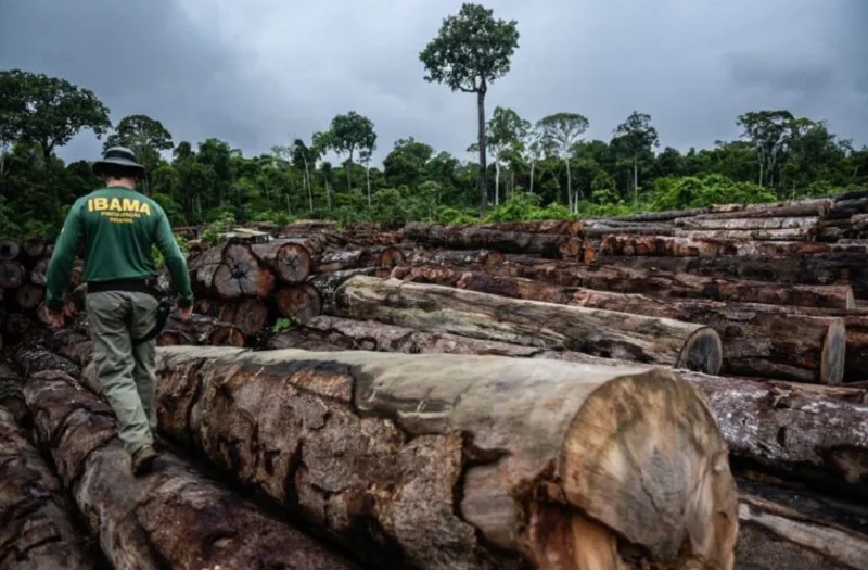 Prazo para exigir que infrator ambiental entregue bem apreendido conta da data de sua recusa – Jornal Advogado – Em Mato Grosso