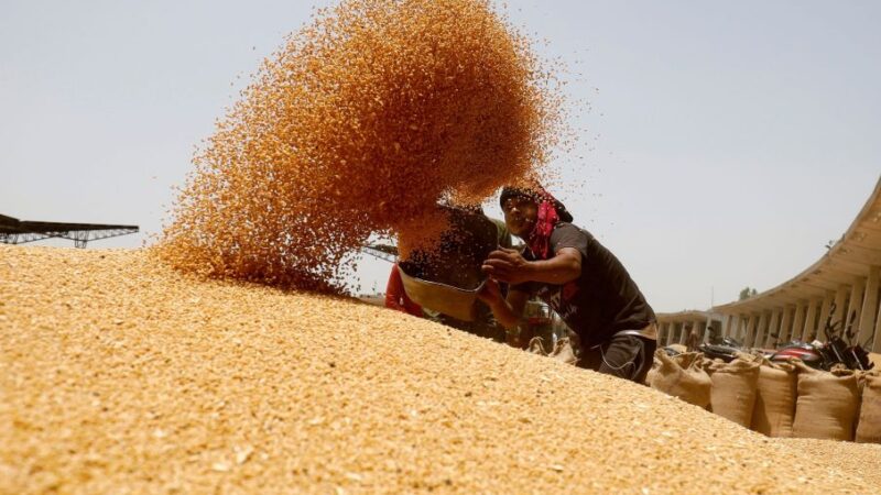 Preços mundiais dos alimentos diminuem em julho com pressão de cereais, diz ONU