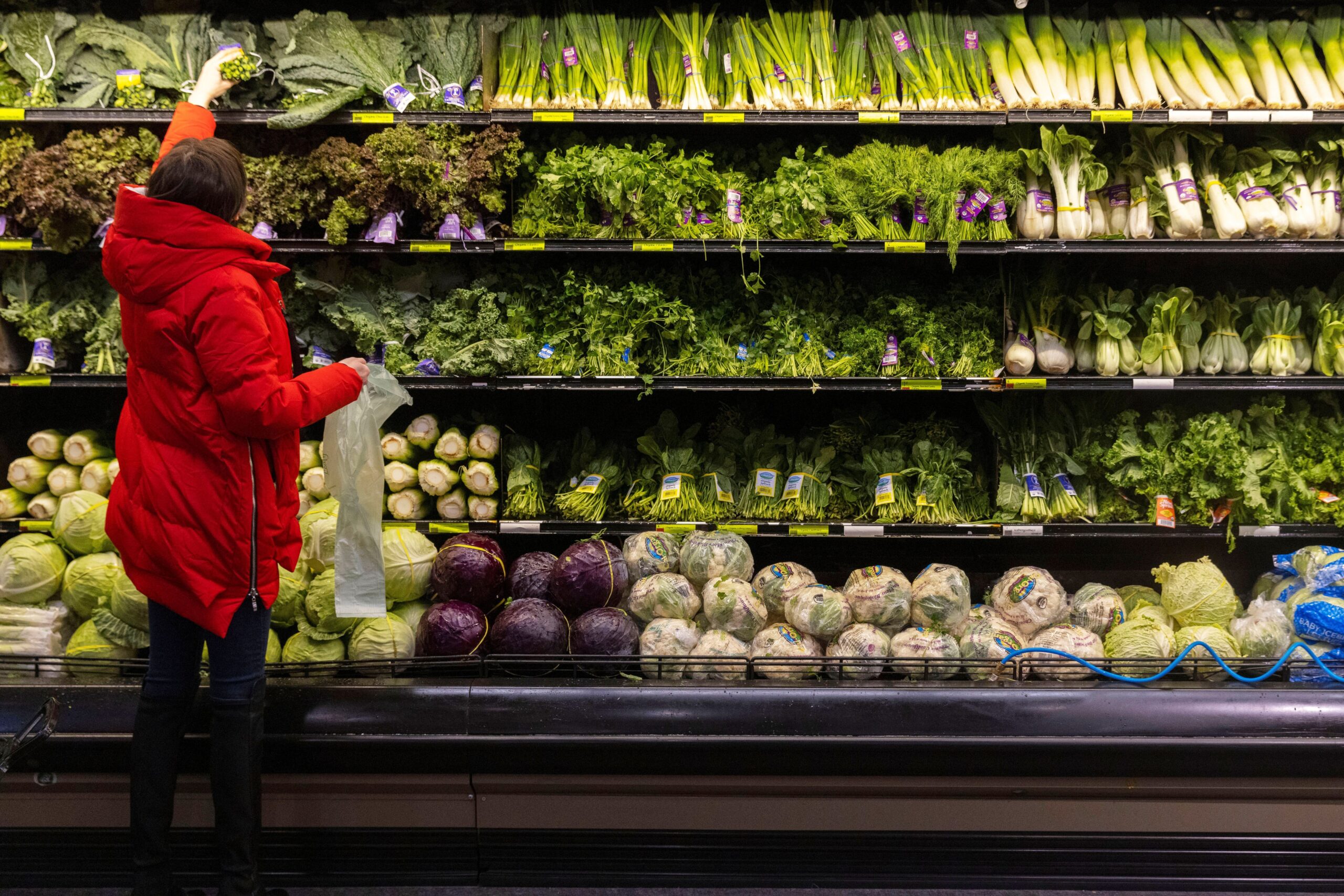 Preços mundiais dos alimentos atingem em outubro maior alta em 18 meses, diz FAO