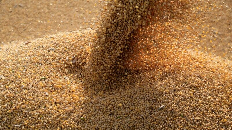 Índice de Commodities do Banco Central sobe 1,14% em janeiro ante dezembro