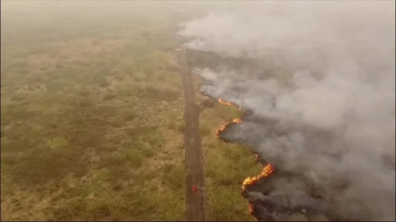 Preço de alimentos devem subir por seca e incêndios, dizem especialistas – Jornal Advogado – Em Mato Grosso