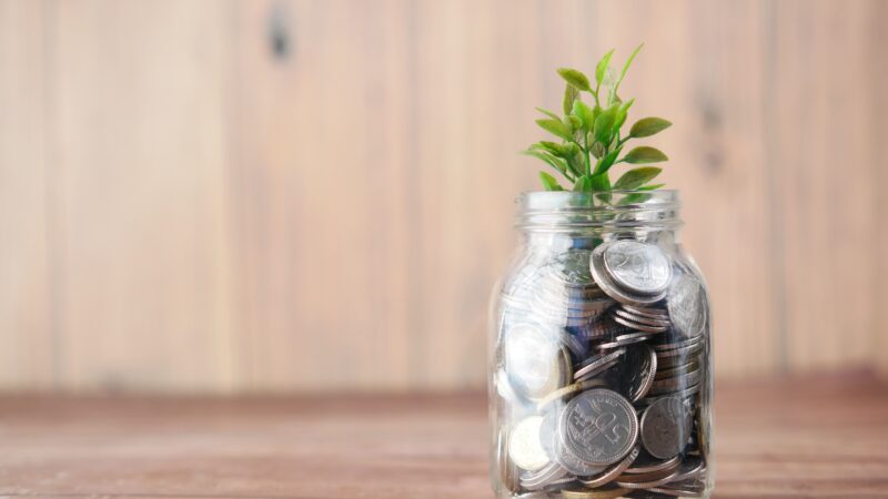 Governo lança plataforma para atrair investimentos para economia verde do Brasil
