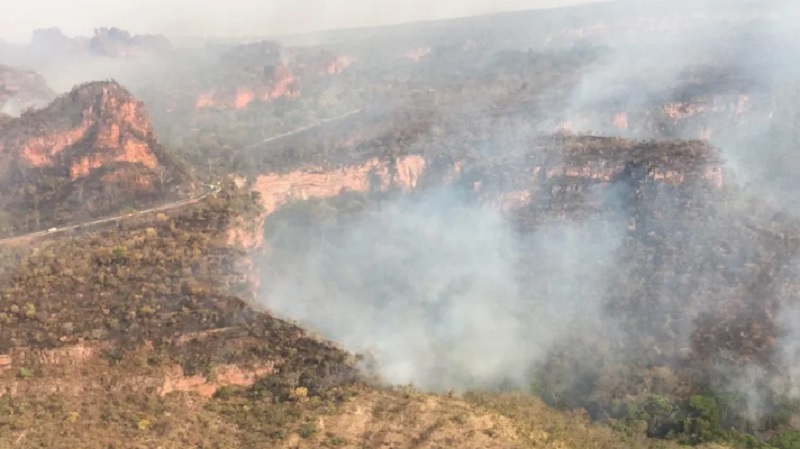 Polícia Civil prende 5 pessoas por desmatamento ilegal na região de Chapada dos Guimarães