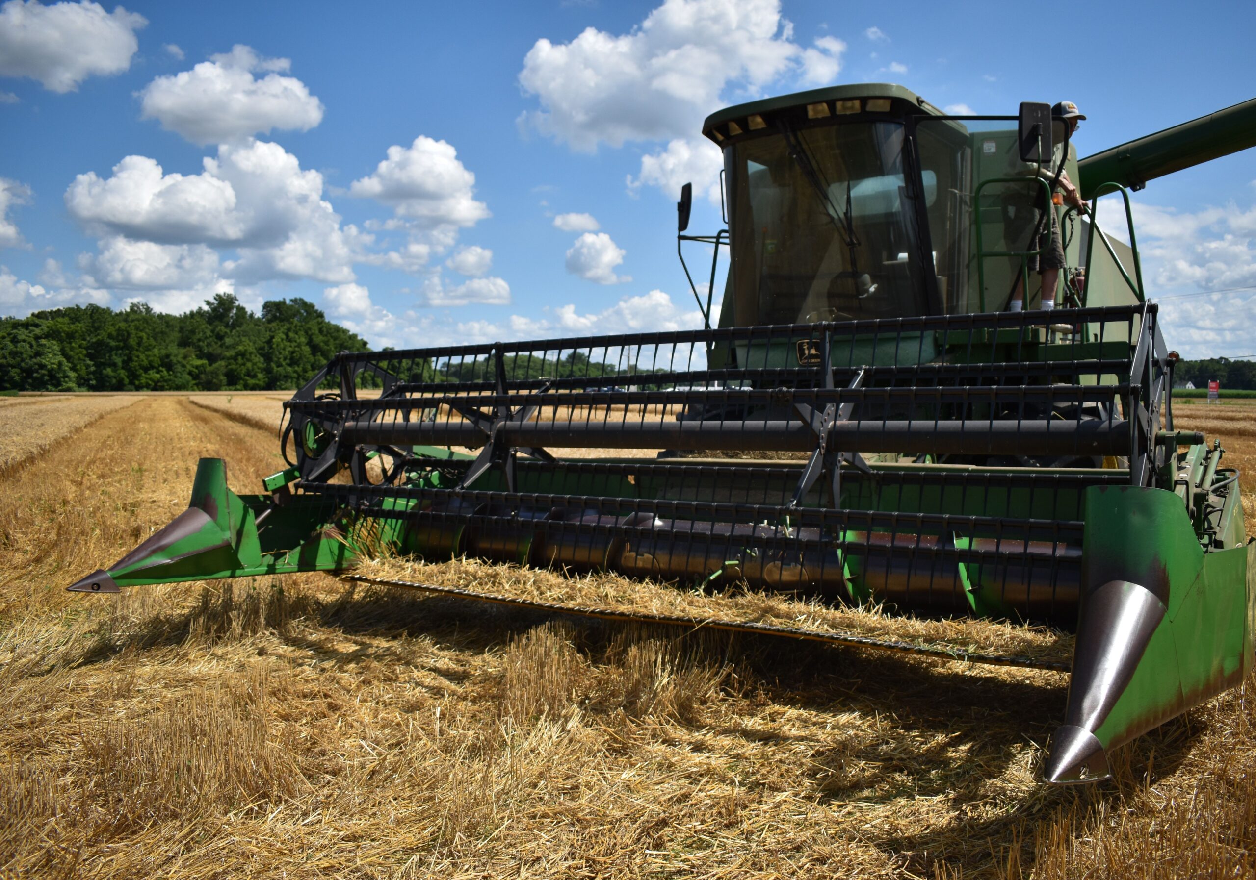 SLC Agrícola tem prejuízo de R$17,3 mi no 3º tri após lucro um ano antes
