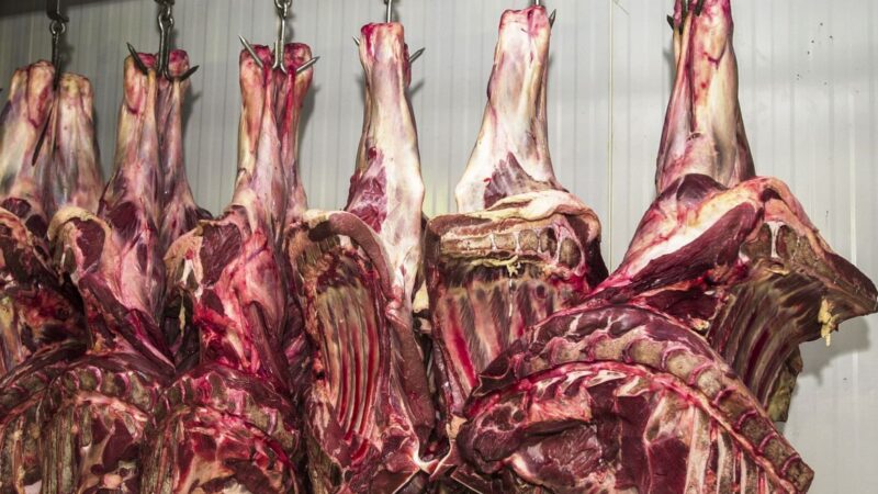 Carne encarece em todo o país em outubro com mudanças climáticas e inflação, mostra estudo