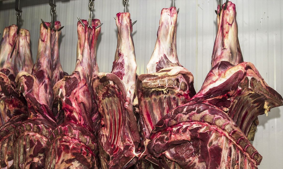 Carne encarece em todo o país em outubro com mudanças climáticas e inflação, mostra estudo