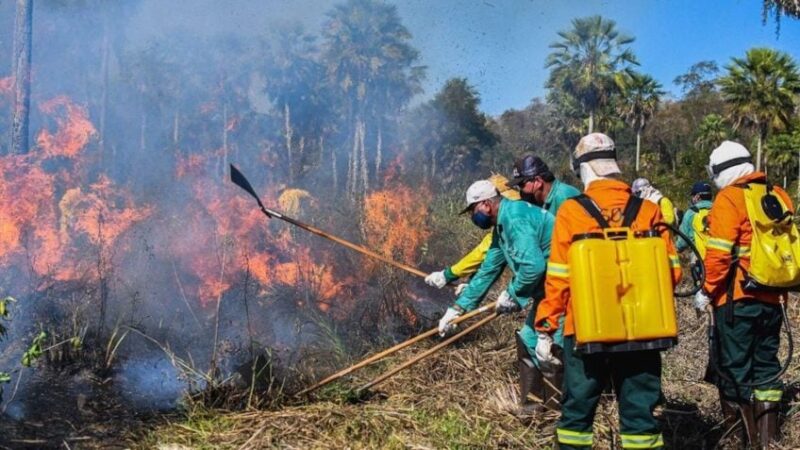 STF veda processos de combate a incêndios na Amazônia e no Pantanal – Jornal Advogado – Em Mato Grosso
