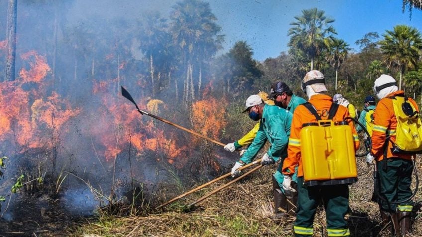 STF veda processos de combate a incêndios na Amazônia e no Pantanal – Jornal Advogado – Em Mato Grosso