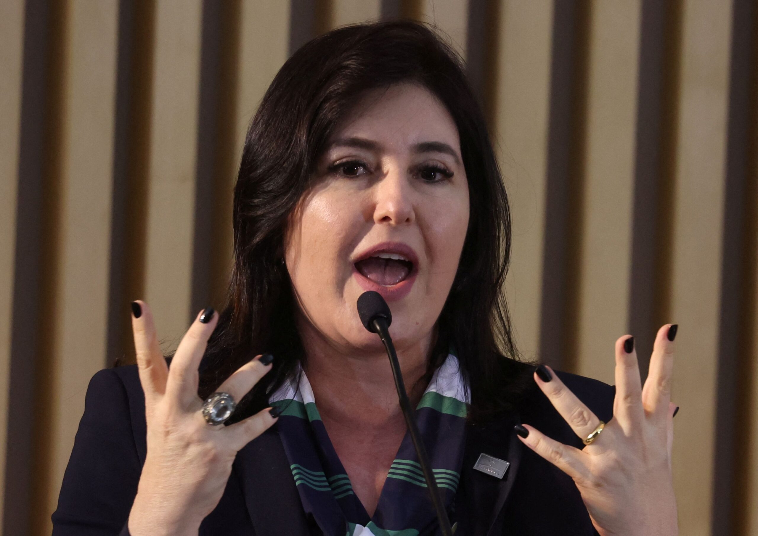 Alguns foram voto vencido, inclusive eu, diz Tebet sobre timing de reforma da renda
