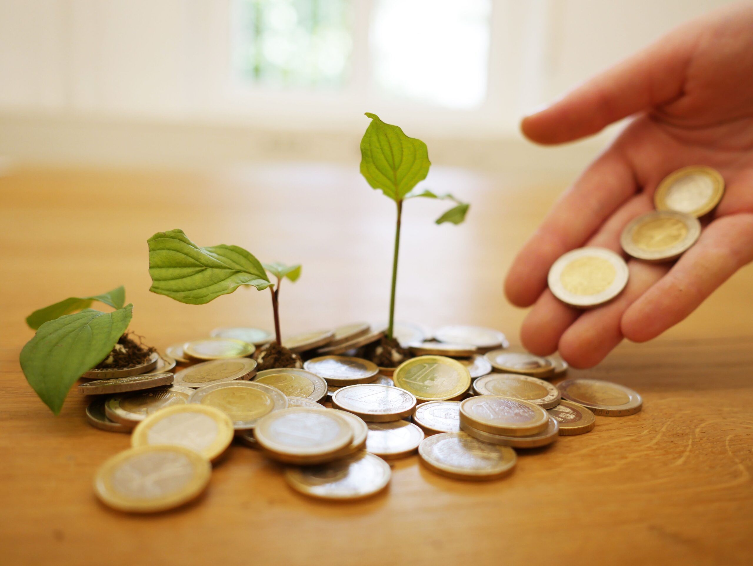 Agenda ESG: como atrair recursos para projetos de impacto em PMEs