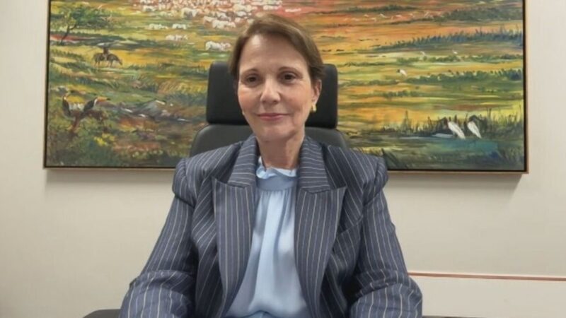 Se acordo Mercosul-UE não sair, temos que enterrar assunto, diz Tereza Cristina ao CNN Money