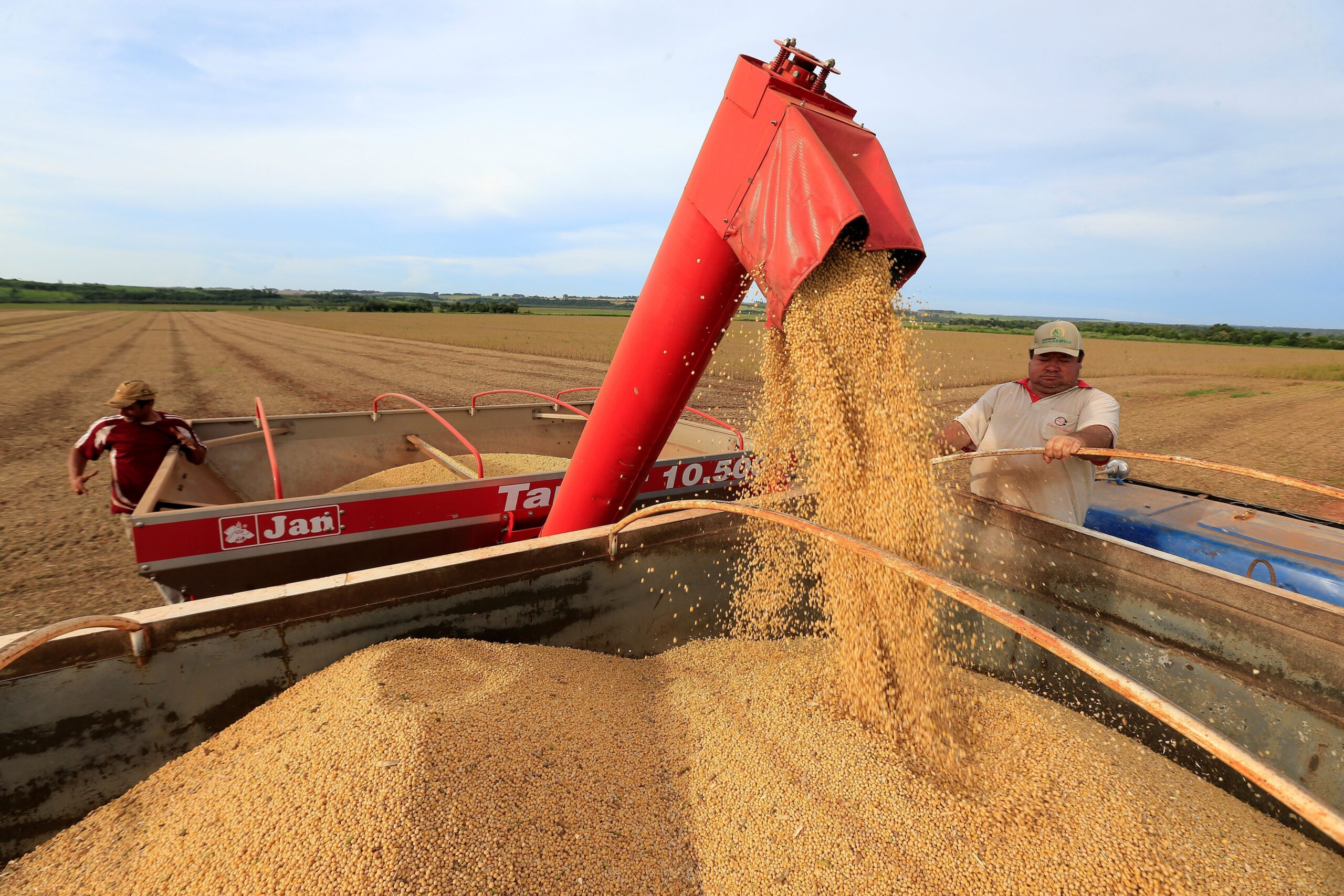 Soja despenca para o nível mais baixo em 4 anos