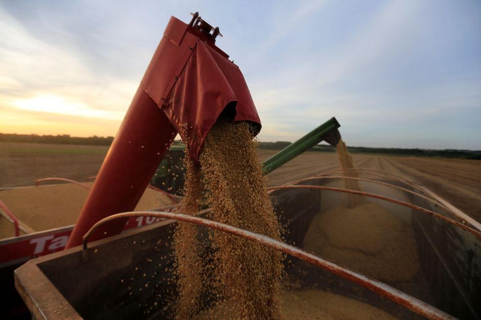 Valor da produção agropecuária deve ter aumento de 7,4% em 2025, diz CNA
