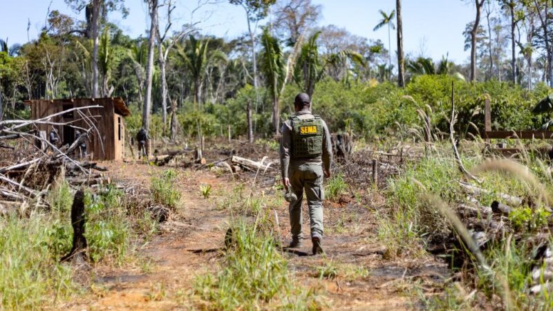 Sema recebeu 3.877 alertas de desmatamento, neste ano, por imagens de satélite