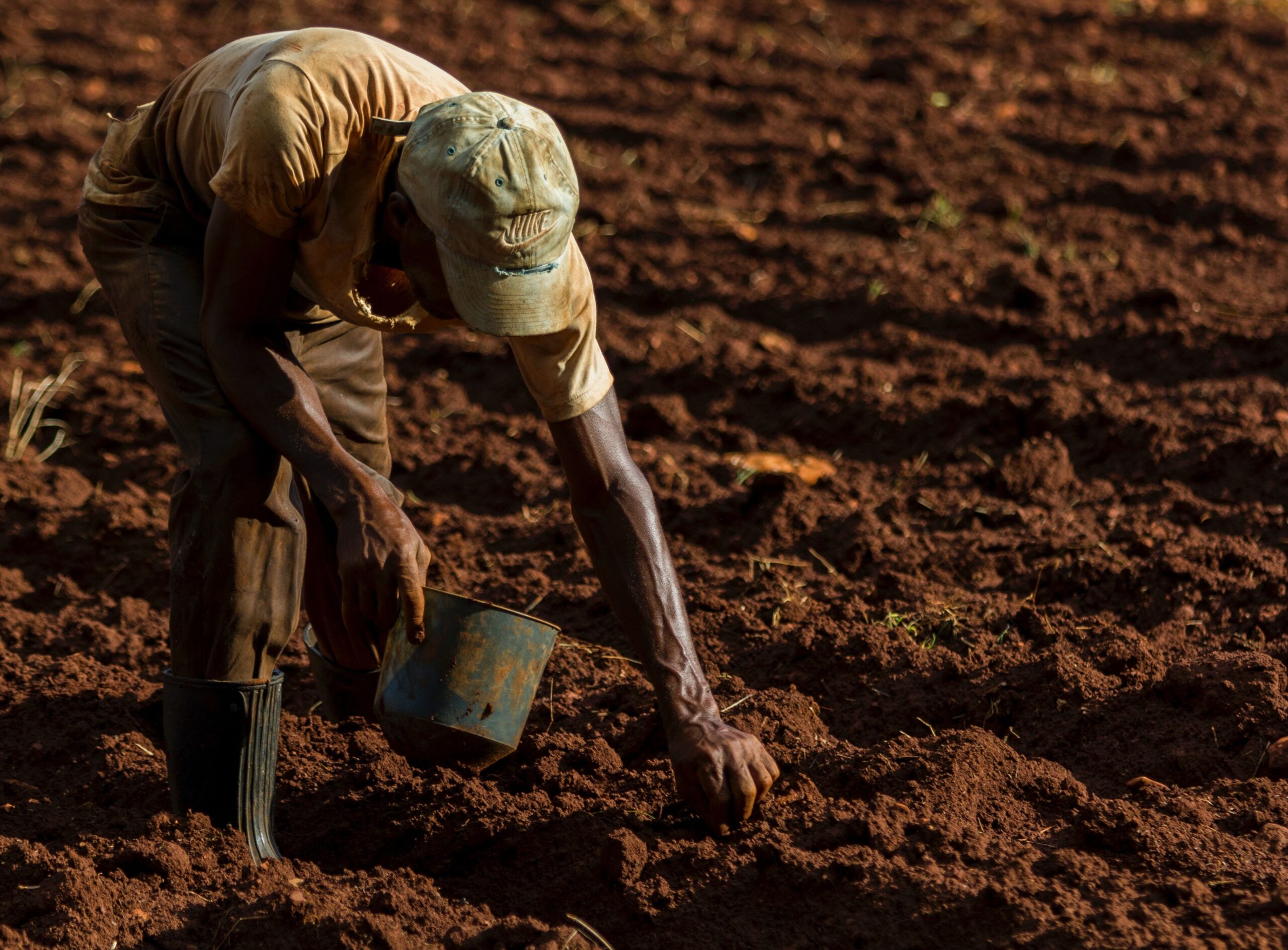 Exportações do agronegócio caem 1,3% e alcançam US$ 164,4 bi em 2024