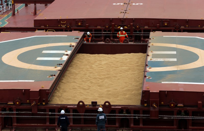 Governo federal planeja dobrar abertura de mercados agrícolas até 2026