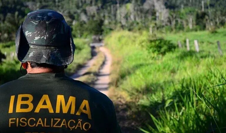 Ibama abre as inscrições de concurso público com salários de R$ 9,8 mil