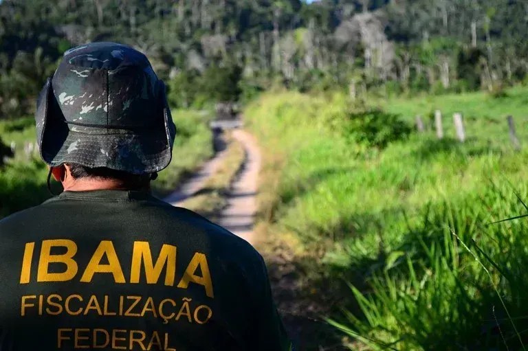 Ibama abre as inscrições de concurso público com salários de R$ 9,8 mil