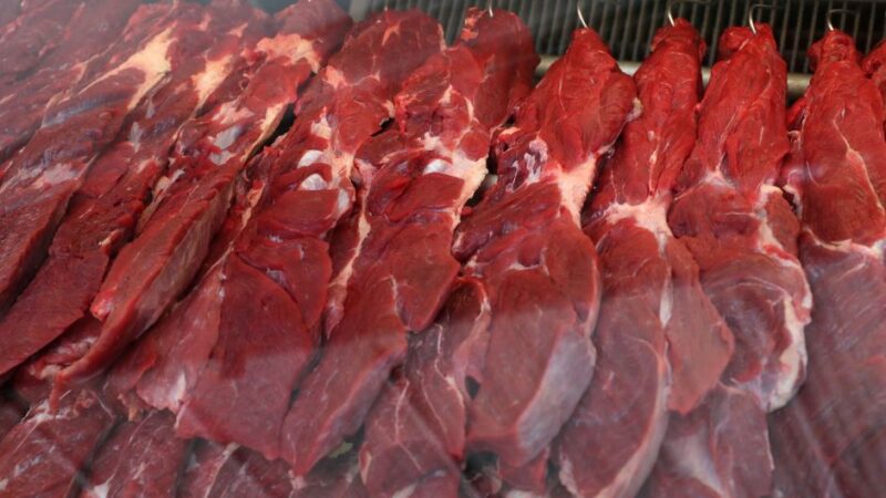 Peru e Turquia abrem mercado para derivados de proteínas animais do Brasil