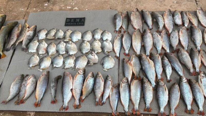Polícia Civil e Sema combatem pesca ilegal e prendem um pescador em flagrante
