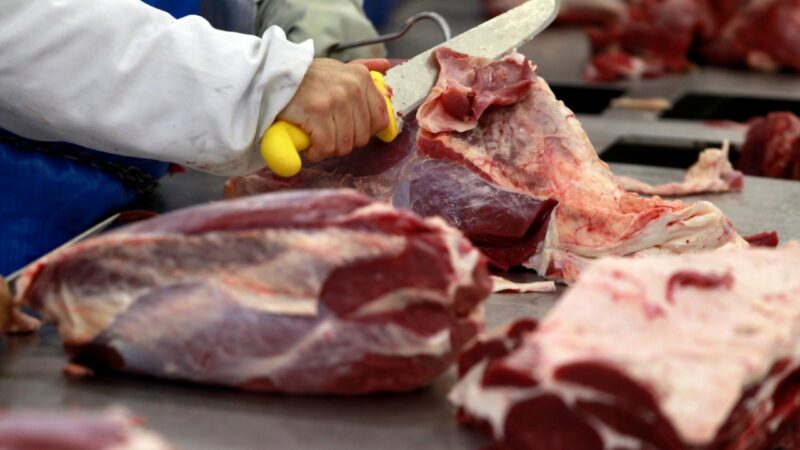 Brasil registra recorde em produção de carnes em 2024, diz IBGE