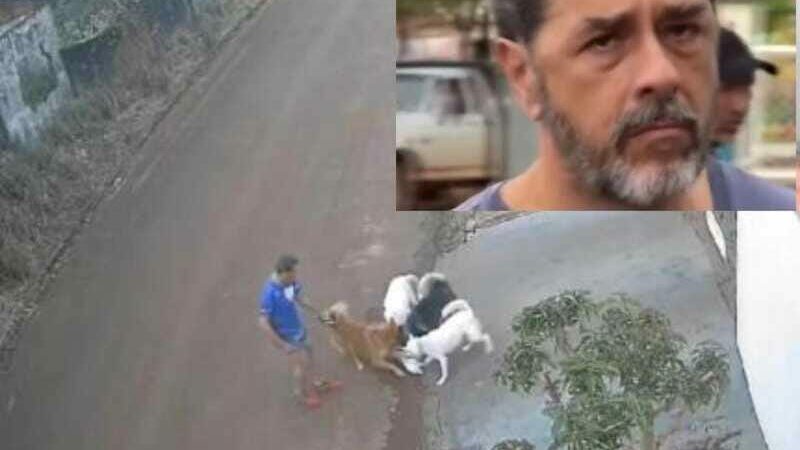 Juiz concede liberdade a professor aposentado que deixou cães matarem gato, ele foi solto após pagar fiança de R$ 10 mil