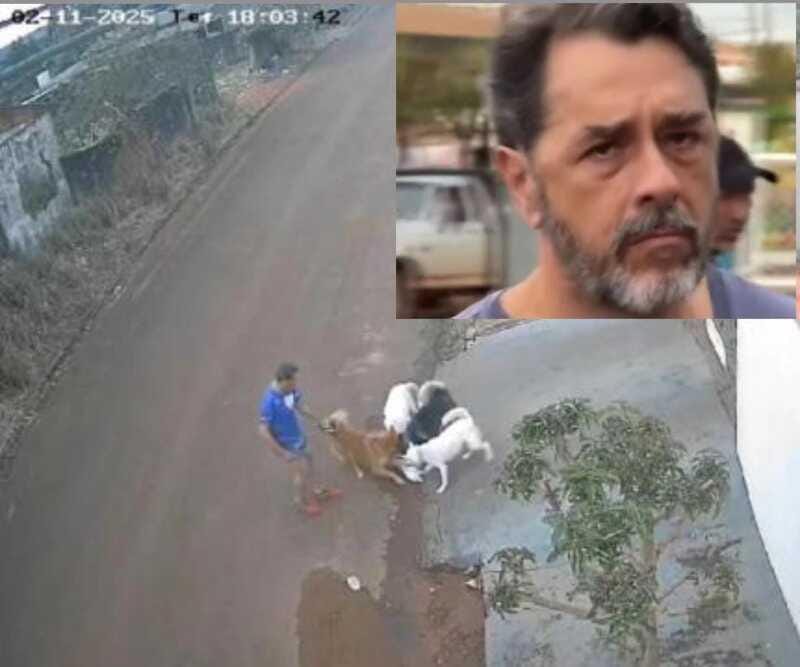 Juiz concede liberdade a professor aposentado que deixou cães matarem gato, ele foi solto após pagar fiança de R$ 10 mil