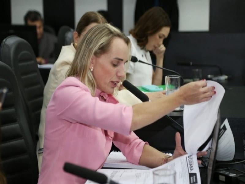 Vereadora defende ‘pacotão de CPIs’ e afirma que novatos querem mostrar serviço