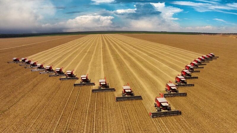 Expectativas Históricas para Mato Grosso que deverá responder por 30% da safra no Brasil