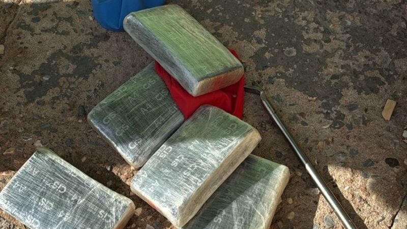 PC apreende encomenda de maconha entregue por transportadora em casa no CPA