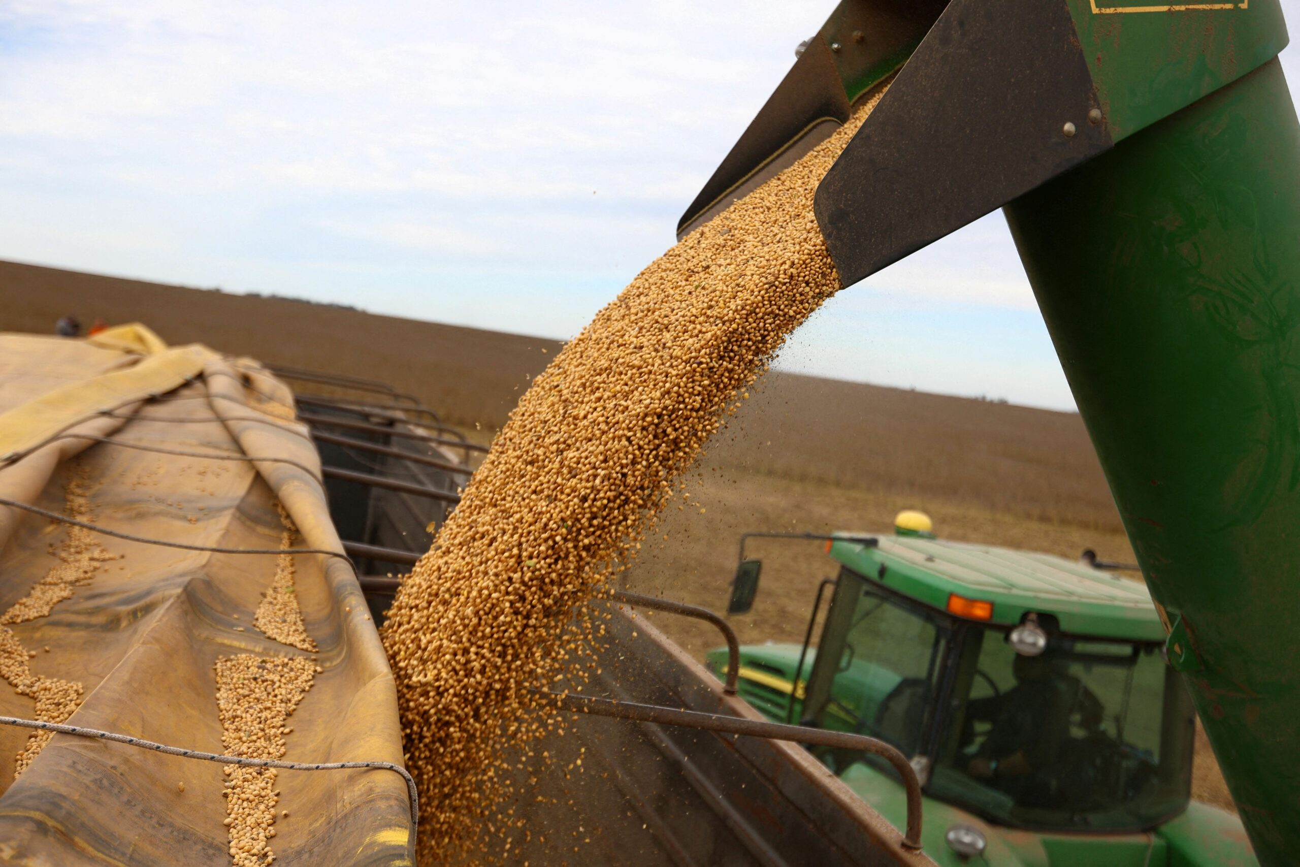 Datagro eleva estimativas de safras de soja e milho do Brasil