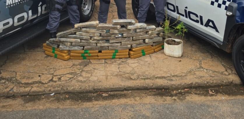 PM apreende 49 quilos de maconha avaliada em R$ 600 mil em Nova Xavantina