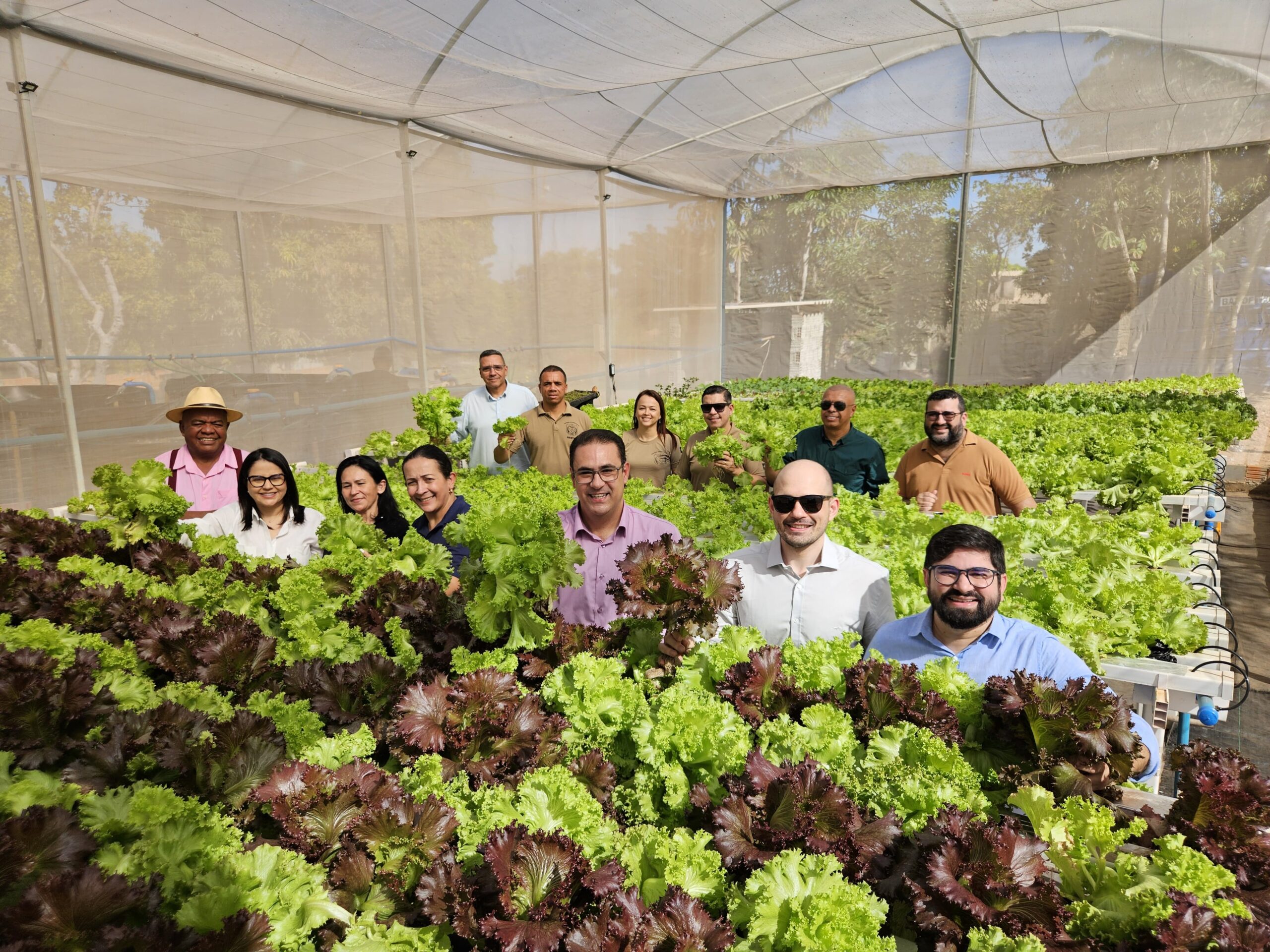 Seaf transforma Comunidade Terapêutica Tenda de Abraão em referência no projeto-piloto sustentável com sistema de aquaponia