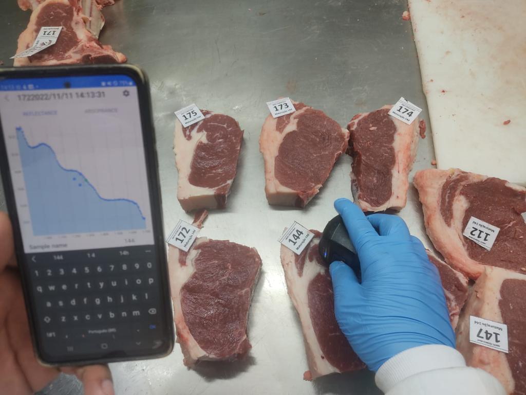 Pesquisa finaliza protótipo para avaliação da qualidade e maciez da carne bovina em tempo real com uso de IA