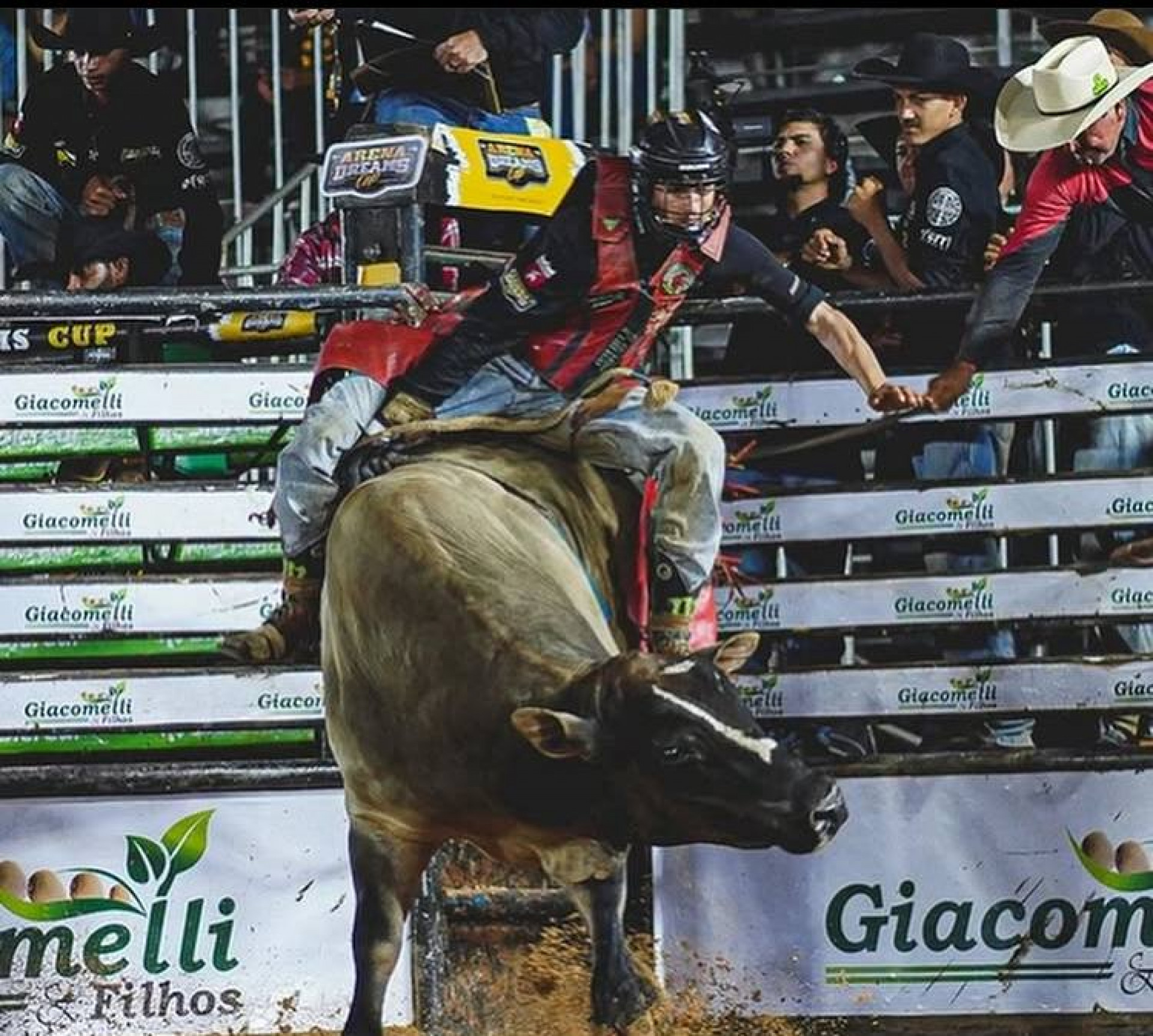 Peão morre pisoteado por touro em Mato Grosso