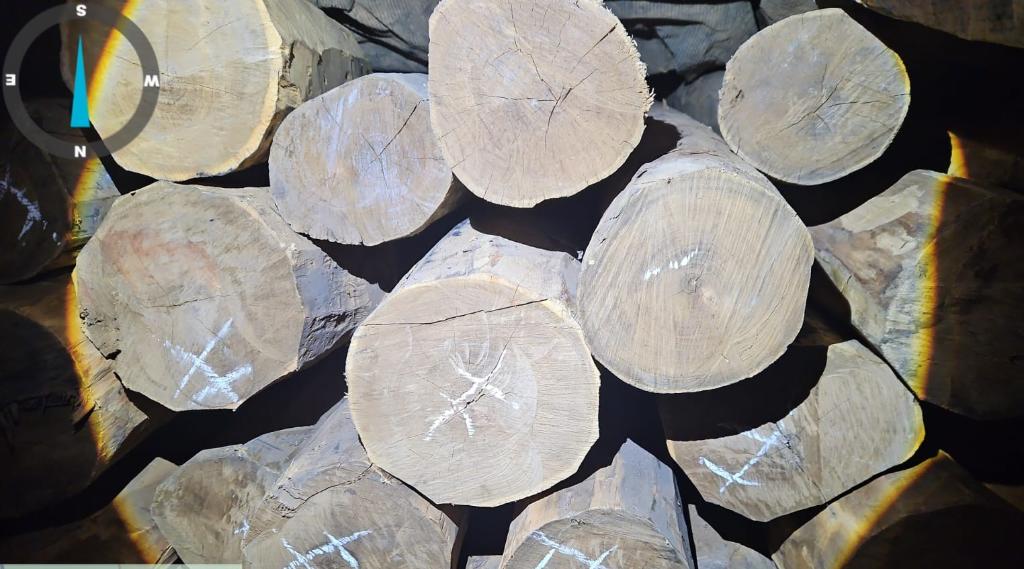 Polícia Civil intensifica trabalho de enfrentamento ao crime ambiental em Comodoro