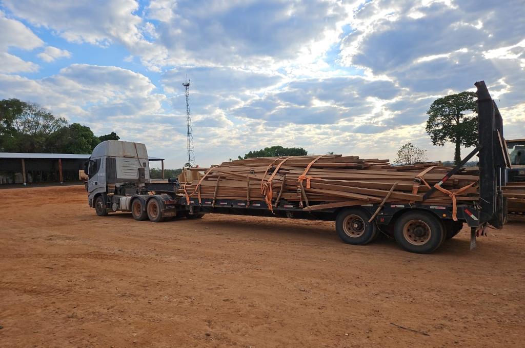 Castanheira apreendida pela Sema em Nova Bandeirantes lota dois caminhões
